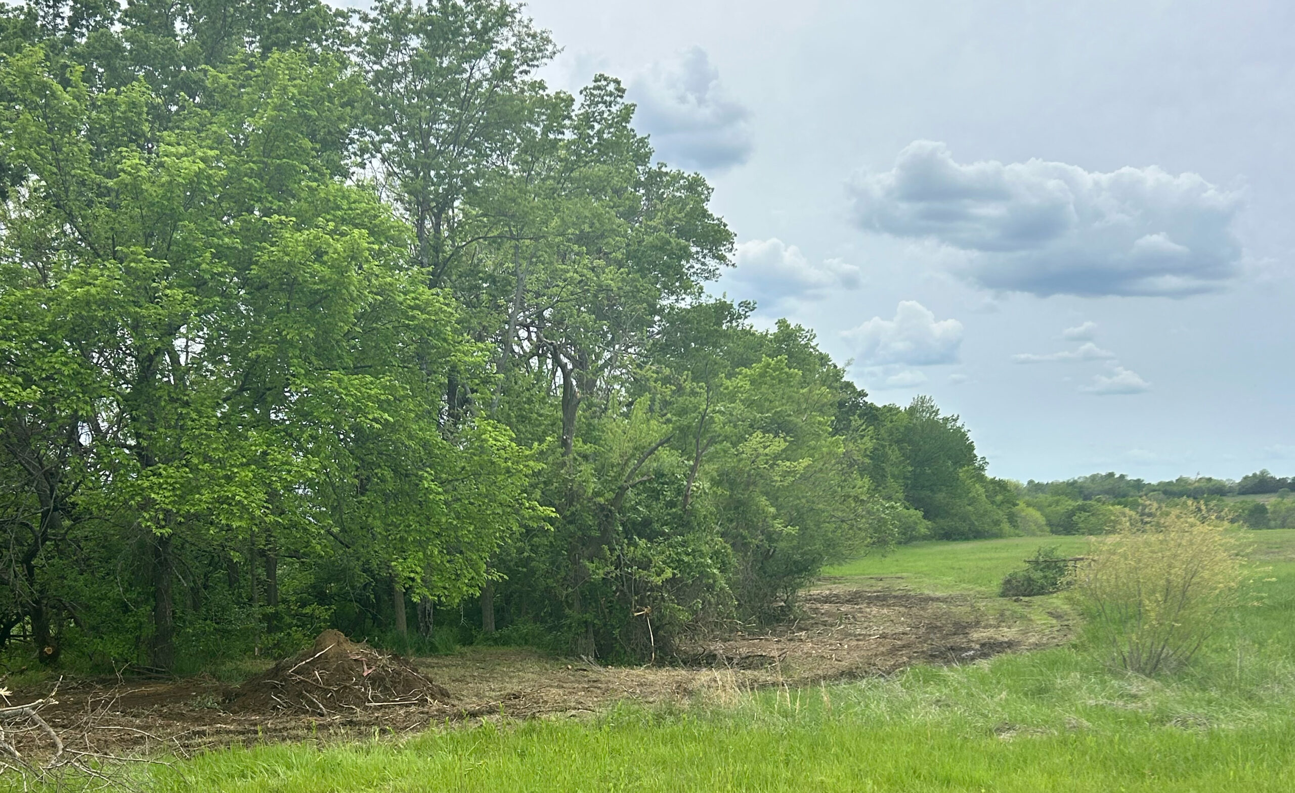 Tree line next to green field with dirt pile on the left.